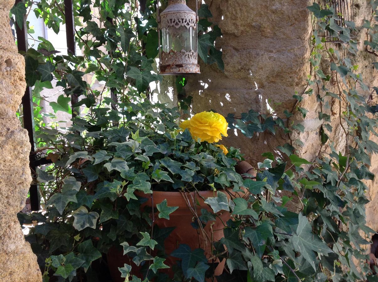 Ansouis Un Patio En Luberon B&B 외부 사진